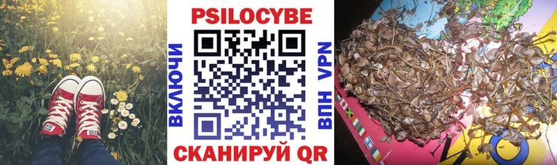 Псилоцибиновые грибы MAGIC MUSHROOMS Купить закладки Богучар